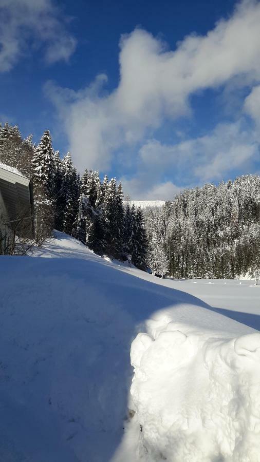 Haus Amade Daire Wagrain Dış mekan fotoğraf